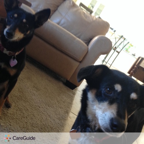 Pet Care Provider David Vasquez's Profile Picture
