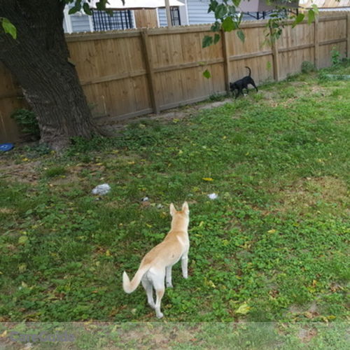 Pet Care Provider Taylor Huson's Profile Picture