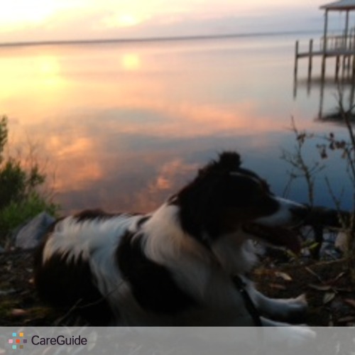 Pet Care Provider Tracy Bari's Profile Picture