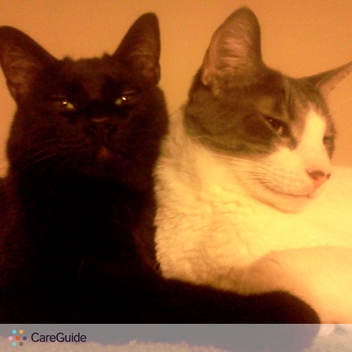 Pet Care Job Jeff McClendon's Profile Picture