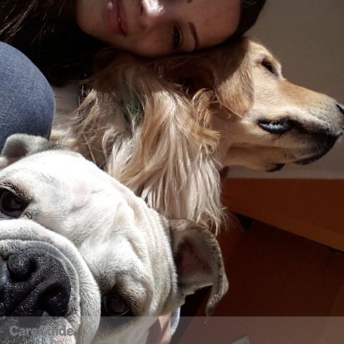 Pet Care Provider Cristiane Cunha's Profile Picture