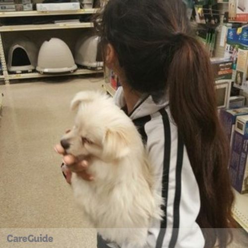 Pet Care Provider Kimberly Espinoza's Profile Picture
