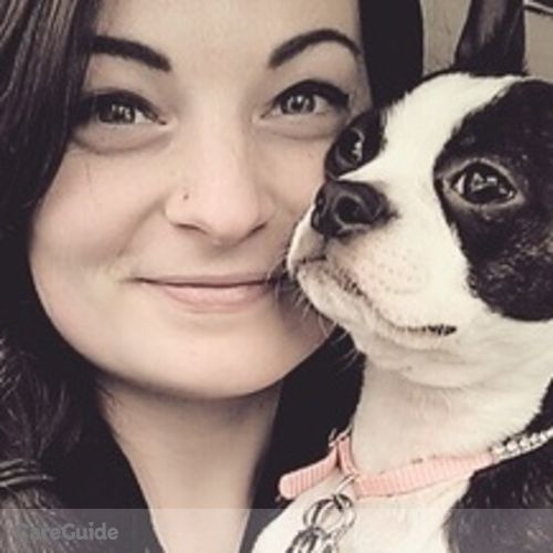Pet Care Provider Lauren Daley's Profile Picture