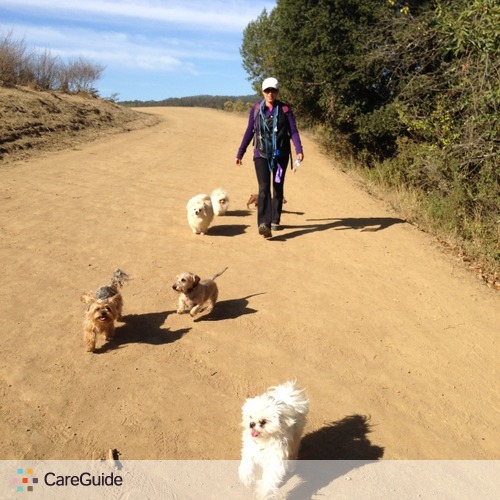 Pet Care Provider Jennifer Reyna's Profile Picture