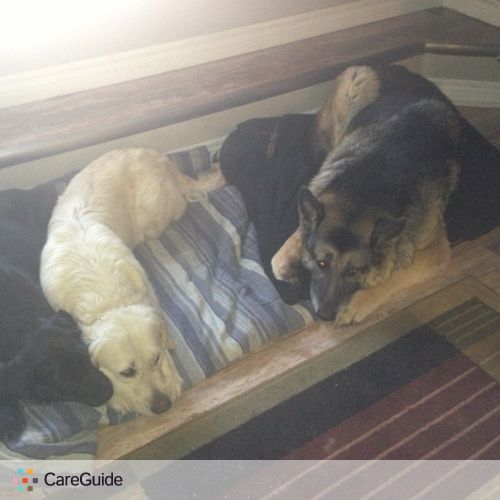 Pet Care Provider Kathy Knowles's Profile Picture