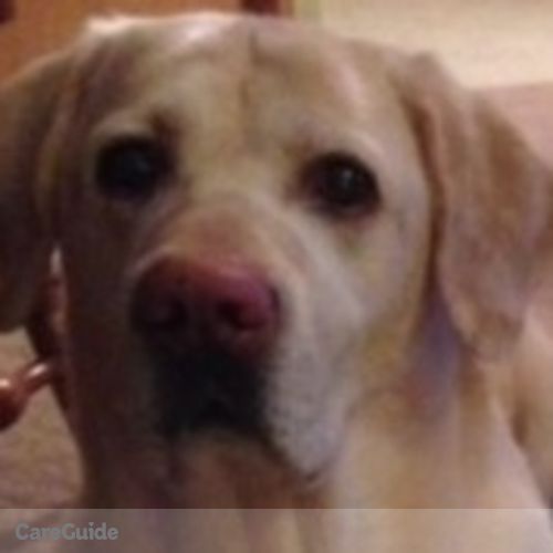 Housekeeper Provider Stephanie Hull's Profile Picture