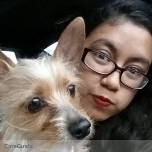 Pet Care Provider Ofelia Sanchez's Profile Picture
