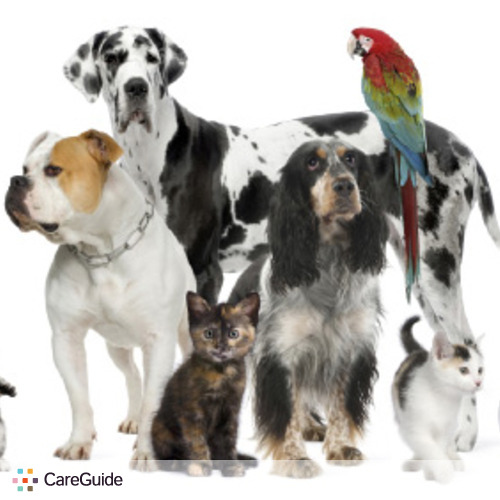 Pet Care Provider Gary Levy's Profile Picture