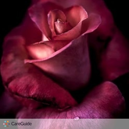 E1540fe9ad620581d4a8bbcf02bdcf77
