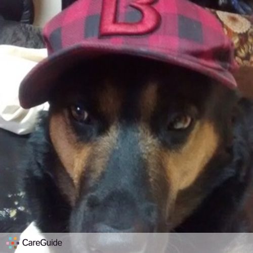 Pet Care Provider Rodney Hentschel's Profile Picture