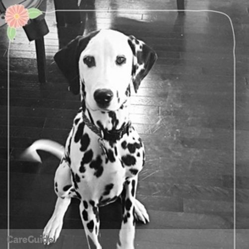 Housekeeper Provider Izzy Gibson's Profile Picture