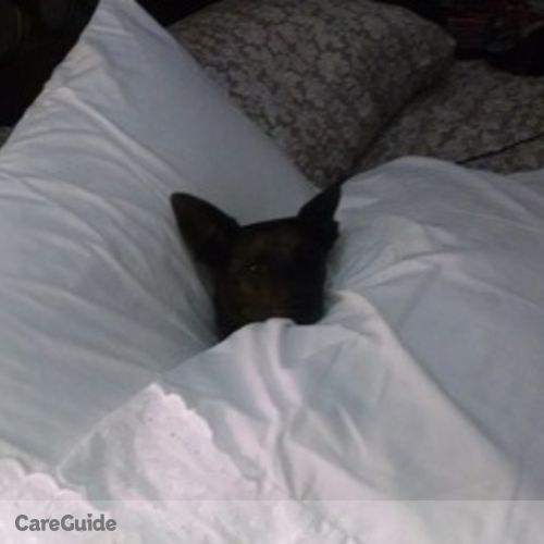 Pet Care Job Trina Mosley's Profile Picture