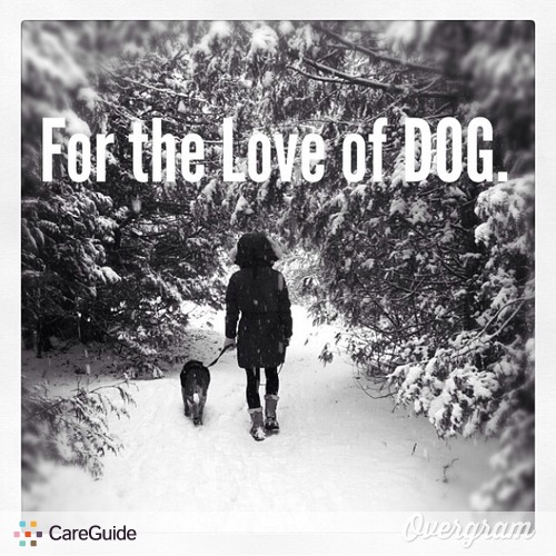 Pet Care Provider Megan Pound's Profile Picture