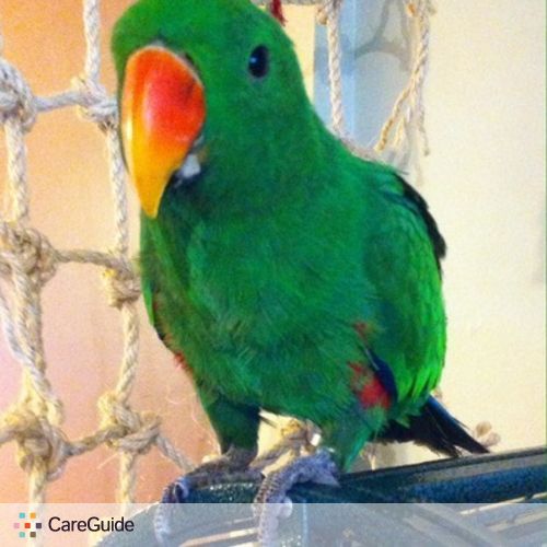 Pet Care Provider Em Rockwell's Profile Picture