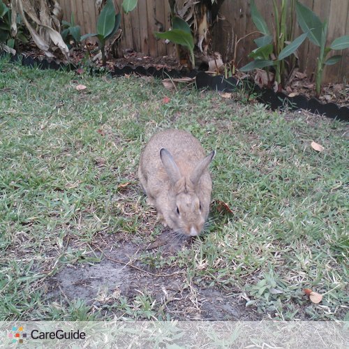 Pet Care Provider Tiffany DePalma's Profile Picture