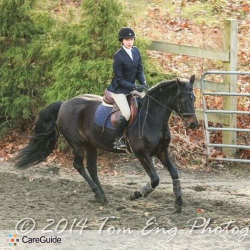 Pet Care Provider Shira Bleicher's Profile Picture