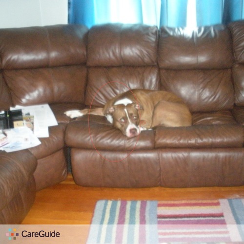 Pet Care Job Deena Feldman's Profile Picture