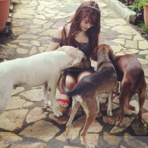 Pet Care Provider Sofia Izabella Wongvalle's Profile Picture