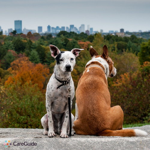 Pet Care Provider Eva K's Profile Picture