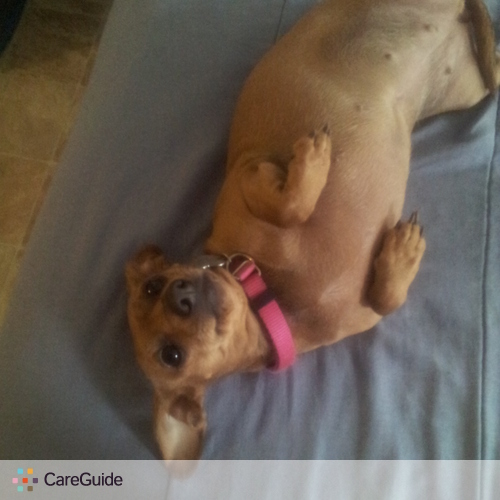 Pet Care Provider Chanel Milton's Profile Picture