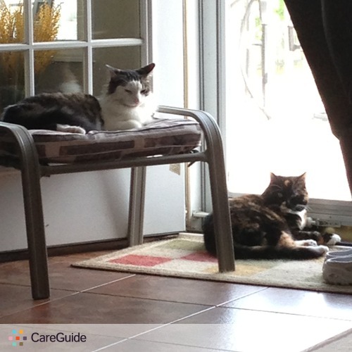 Pet Care Provider Billie Austin's Profile Picture