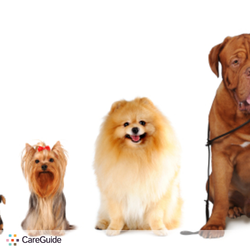 Pet Care Provider Francisco A's Profile Picture