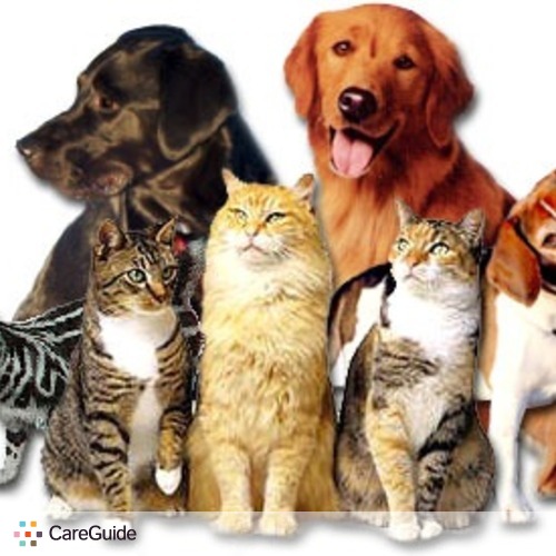 Pet Care Provider Heather Poffenberger's Profile Picture
