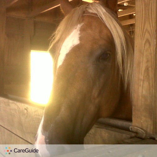House Sitter Provider Amanda Dercole's Profile Picture