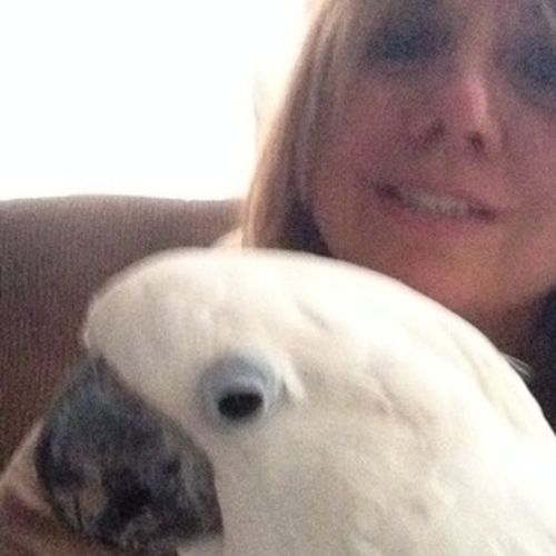 Housekeeper Provider Deborah Sierchio's Profile Picture
