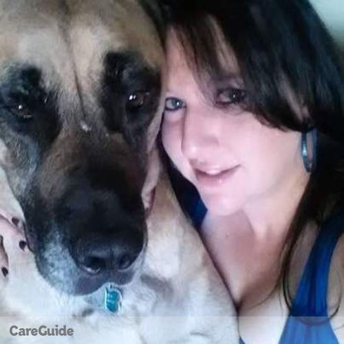 Pet Care Provider Tracy Young's Profile Picture