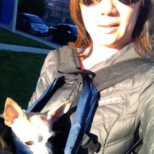 Pet Care Provider Patricia 's Profile Picture