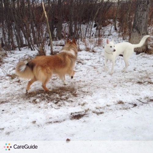 Pet Care Provider Breann Elizabeth's Profile Picture