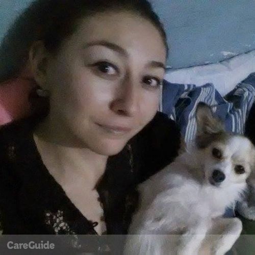 Pet Care Provider Maria Castillo's Profile Picture