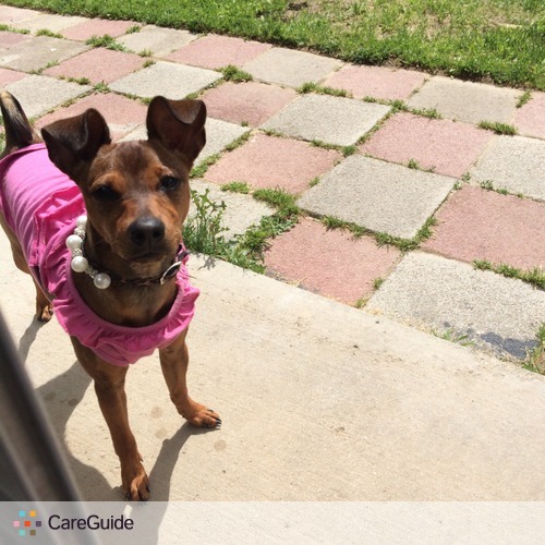 Pet Care Provider Stacey R's Profile Picture