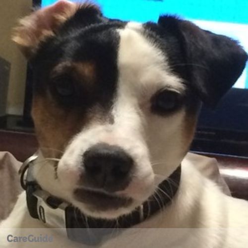 Pet Care Provider Lisa Margaret's Profile Picture