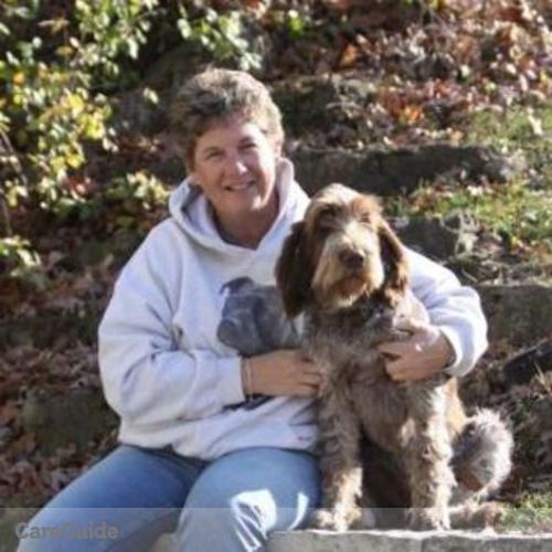 Pet Care Provider Kim Witt's Profile Picture