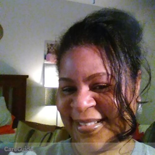 House Sitter Provider Melissa Mills's Profile Picture