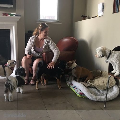 Pet Care Provider Leeann Koga's Profile Picture