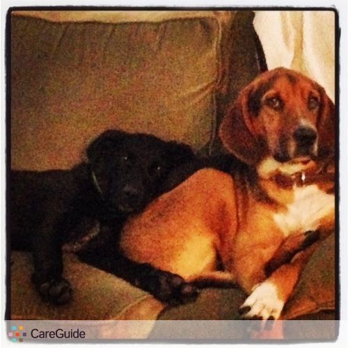 Pet Care Job Taylor Fahnestock's Profile Picture