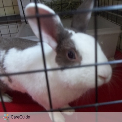 Pet Care Provider Tyrell Gomes's Profile Picture