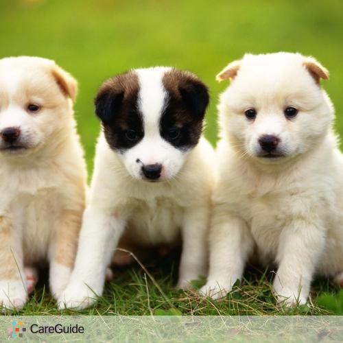 Pet Care Provider Julien Labon's Profile Picture