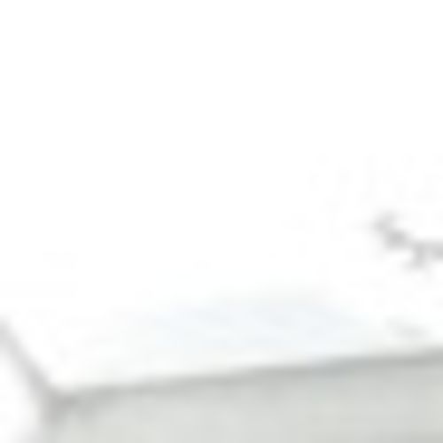 Housekeeper Provider Michelle Hg's Profile Picture