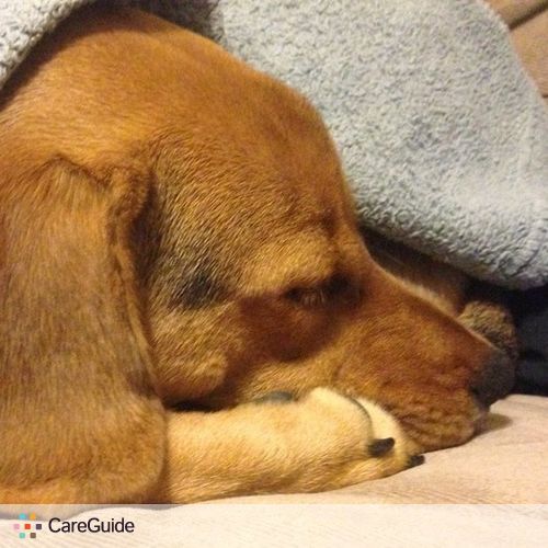 Pet Care Provider Autumn Stepanski's Profile Picture