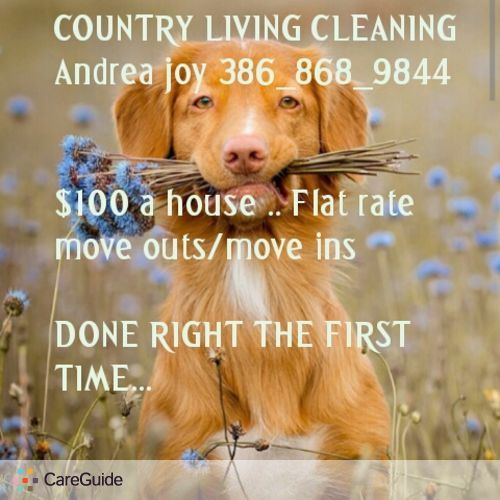 Housekeeper Provider Andrea joy Clark's Profile Picture