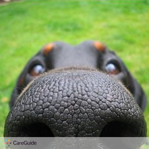 Pet Care Provider Ryan Monteiro's Profile Picture