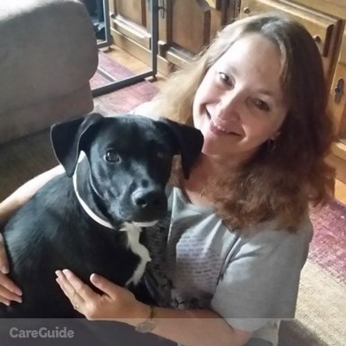 Pet Care Provider Diana Cormier's Profile Picture
