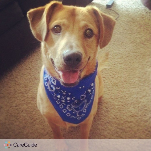Pet Care Job Kish Singh's Profile Picture