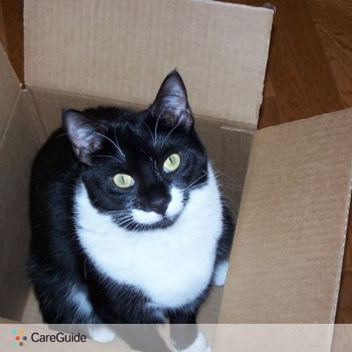 Pet Care Job Sheryl Maletic's Profile Picture