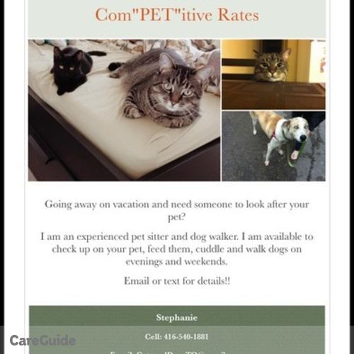 Pet Care Provider Stephanie Clayton's Profile Picture