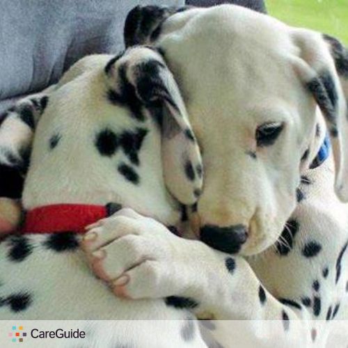 Pet Care Provider Guardian Pet Care Eve Cooper's Profile Picture